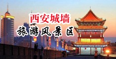 天天搞日日操中国陕西-西安城墙旅游风景区