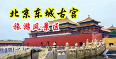 大屌插穴视频中国北京-东城古宫旅游风景区